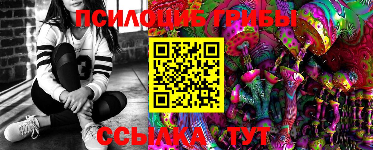 Тында  Псилоцибиновые грибы ЛСД  Вход с VPN  Псилоцибиновые грибы Psilocybe 