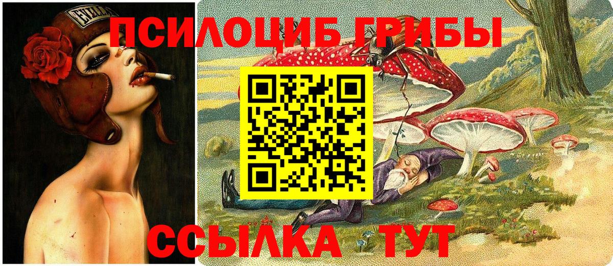 Псилоцибиновые грибы ЛСД Тында